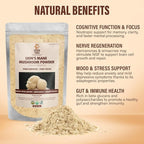 Lions Mane Mushroom Powder, 8oz Pack of Lion's Mane Powder, Organic Powder for Brain, Focus and Memory, High Potency Formula to Support Immunity, for Mental Clarity, Energy and Mood