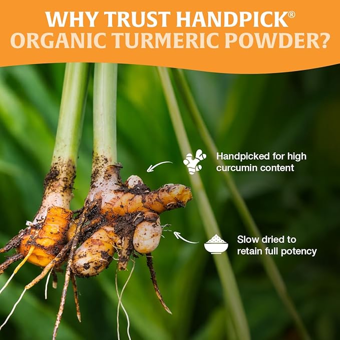 HANDPICK, Organic Turmeric Powder with Curcumin (397g/14oz) | Authentic Indian Origin | Gluten Free | Made from Turmeric Root
