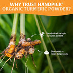 HANDPICK, Organic Turmeric Powder with Curcumin (397g/14oz) | Authentic Indian Origin | Gluten Free | Made from Turmeric Root