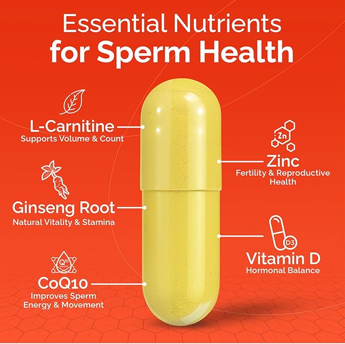 CONCEIVE PLUS Motility Support for Men | Boost Sperm Volume & Count | Spermidine Supplements with Vitamin D, E, Zinc, Antioxidants – Multivitamin Fertility Supplements for Men, 60 Caps