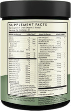 TERRA ORIGIN Healthy Superfood Greens Powder Drink with Probiotics & Ashwagandha | Adaptogen & Digestive Enzyme Fruit and Veggie Blend | for Gut Health, Energy, Immune Support* | 30 Servings | Mint