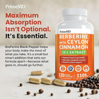 21-in-1 Berberine Supplement with Ceylon Cinnamon Capsules - Dihydroberberine with Chromium, Bitter Melon & Green Tea Extract - Berberine with Ceylon Cinnamon for Energy Support (120 Ct) (Pack of 4)