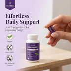 Elderberry - EIvera Gut Support Complex, Organic Black Elderberry Capsules, with Zinc & Vitamin C for Digestive Balance, Immune Support (1)