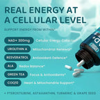 NAD+ Elite Complex – Direct NAD+ 300 mg with Urolithin A, Resveratrol, CoQ10 & Antioxidant Blend – Cellular Energy, Mitochondrial Support & Healthy Aging – Vegan, Non-GMO, 60 Capsules (30 Servings)