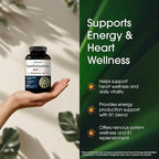 NatureBell Benfotiamine with Thiamine - 240 Vegetarian Capsules - 300mg Benfotiamine & 100mg Thiamine - for Heart Health, Energy Production & Nervous System Support* - Vitamin B1 Complex