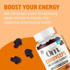 OM MUSHROOM SUPERFOOD Cordyceps Gummies – USA Grown Organic Mushrooms – Supports Endurance, Energy & Recovery – Cherry Burst Flavour – 30 Servings, 60 Count.