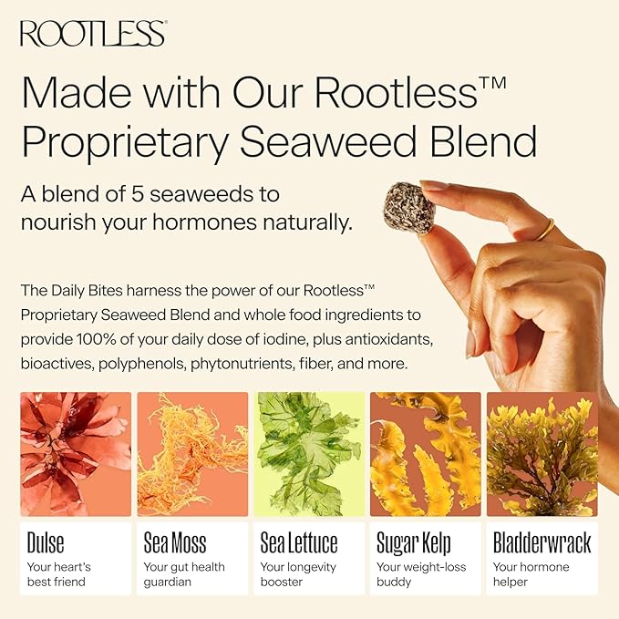 Rootless Seaweed Daily Bites – Coconut Chai – 1 Month Supply for Hormone & Thyroid Health | 100% Daily Iodine, Whole Food Ingredients, No Added Sugar (4 Pack)