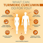 OmniBiotics Organic Turmeric Curcumin Supplement with Black Pepper Extract – 1500mg Turmeric with 95% Curcuminoids & BioPerine, High Absorption for Joint Support – 120 Vegan Capsules