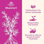ORGANIC INDIA Shatavari Capsules - Herbal Supplement, Supports Hormonal Balance, Immune System Support, Vegan, Gluten-Free, USDA Organic, Supports Reproductive Health - 180 Capsules