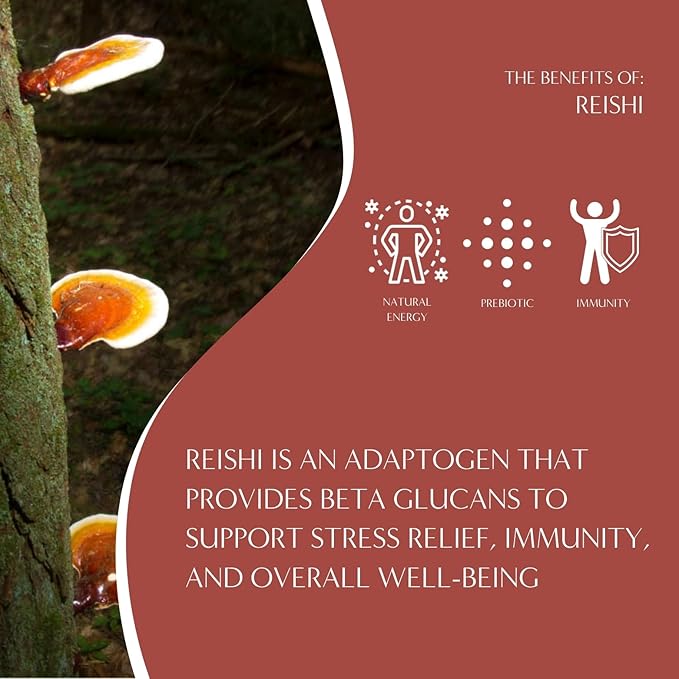 Teeccino Reishi Eleuthero Tea - French Roast - 10 TeaBags - Organic Mushroom Adaptogenic Herbal Tea, 3x More Herbs than Regular Tea Bags, Caffeine Free, Chicory Prebiotic