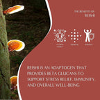 Teeccino Reishi Eleuthero Tea - French Roast - 10 TeaBags - Organic Mushroom Adaptogenic Herbal Tea, 3x More Herbs than Regular Tea Bags, Caffeine Free, Chicory Prebiotic