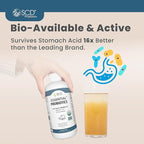 SCD Probiotics SCD Essential Probiotics for Women, Men, Kids and Toddlers, Live Probiotic for Digestion and Immunity, Gut Health Liquid Probiotic Supplement with 11 Strains – 16.3 fl oz (3 Pack)