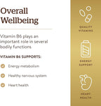 Vitamin B-6 100mg Solgar 100 Tabs