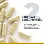 Premier Research Labs Vitamin C Supplement - Natural Vitamin C, Whole Food Vitamin C, Essential C Complex, Pure with Bioflavonoids & Organic Ingredients - 60 Vegetarian Capsules (Pack of 2)