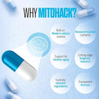 MITOHACK - 1000mg Urolithin A+ & 25mg Spermidine Supplements Designed with Advanced Mitochondrial Formula for Longevity & Anti-Aging, Promotes Cellular Health, Muscle Strength, Stamina - 90 Capsules