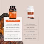 FreshCap Organic Mushroom Capsules Supplement - Fruiting Body Extract (Chaga, 120 Capsules)
