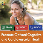 Stop Aging Now - Curcumin2K Formula with Bioperine - Brain & Heart Health, Antioxidants & Joint Health Support - Turmeric & Black Pepper Extract - 60 Vcaps (3 Bottle Multi-Pack)