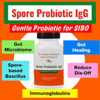 Spore Probiotic IgG by Dr. Rajsree, MD | Spore-Based Probiotic & IgG for Gut Barrier & Immune Support | 3 Bacillus Strains + Bovine Immunoglobulins | 90 Capsules