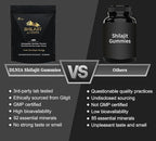Shilajit Gummies with Ashwagandha, Turmeric - Organic, Zero Sugar & Vegan-Friendly Himalayan Shilajit for Men & Women - Energy, Calm, Cortisol, Sleep, Immune Support & Overall Health