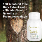 Biogena Pycnogenol 100 mg Gold with Premium Patented French Maritime Pine Bark Extract (Pinus Pinaster) to Support Blood Circulation