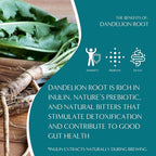 Teeccino Dandelion Caramel Nut Tea - Caffeine Free, Roasted Herbal Tea with Prebiotics, 3x More Herbs than Regular Tea Bags, Gluten Free - 50 Tagless Eco-Friendly Tea Bags