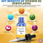 Honeycombs Riboflavin Vitamin B2 Liquid Drops 500 Percent DV, b2 made in USA Alcohol Free B2 Vitamins Supplement, Fast Absorbing Riboflavin Alternative to Capsules for Adult Daily Use