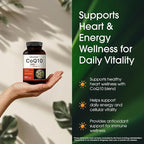 NatureBell CoQ10 300mg - 240 Capsules - High-Potency Support for Healthy Heart - Daily Energy & Vitality Aid with Antioxidant Support - Easily Absorbed Ubiquinone & Omega-3*