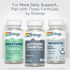 SOLARAY Activated Charcoal Supplement - 280mg per Serving, Coconut Source, for Men & Women, Inner Cleansing & Digestive Tract Support for Adults, Non-GMO, Vegan, & Lab Verified - 90 Count VegCaps