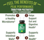 CoreBiome Tributyrin Postbiotic Supplement Clinically Tested for Gut Health. More Effective Than Sodium Butyrate Capsules. High Bioavailability Post Biotics for Digestive, Leaky Gut, Colon, Microbiome