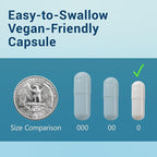 MyoActivo 60 Billion CFU Probiotic - Unique Tri-Blend w/ 8 Probiotic Strains, Prebiotics & Postbiotics - for Digestive & Immune Support - Delayed Release - Shelf Stable - Non-GMO, Gluten Free - 30 Ct
