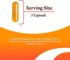 Seeking Health Riboflavin - Vitamin B2 Supplement for Methylation Support - Support Homocysteine Metabolism with Antioxidant Ingredients - 400 mg, 60 Capsules