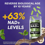 Liposomal NAD Supplement for Women w/Noni | 5-in-1 NAD Resveratrol Supplement w/Berberine & Quercetin | Pure NMN Powder Alternative | Supports Anti Aging & NAD+ Levels | 240 caps - 4 Packs