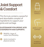 Solgar Glucosamine Hyaluronic Acid Chondroitin MSM (Shellfish-Free), 60 Tablets - Joint Support & Comfort - Supports Active Lifestyles - Non-GMO, Gluten Free, Dairy Free - 20 Servings