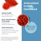 Designs for Health Q-Evail 100-100mg CoQ10 Highly Bioavailable Ubiquinone - Coenzyme Q10 with MCT + Mixed Tocopherols to Promote Superior Absorption - Non-GMO (60 Softgels)