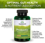 Swanson Probiotic for Digestive Health GI Tract Immune Support Travelers Support 20 Billion CFU with Prebiotic FOS 60 Veggie Capsules (Caps)
