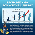 Liposomal NAD Supplement - 1200mg NAD+ Liquid Drops for Women & Men, Nicotinamide Riboside with Resveratrol, PQQ, CoQ10, Quercetin for Anti-Aging, Brain & Cellular Mitochondrial, Pineapple 4 Fl Oz