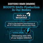 NMNH Supplement 250MG Pure Dihydro-Nicotinamide Mononucleotide (NMN Supplement Alternative with Bioperine® For 3X The Bioavailability) NAD Supplement to Boost NAD+ Levels For Anti-Aging & Energy