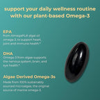 Iwi Omega-3 Essential, 90 Softgels (90 Servings), Plant-Based Algae Omega 3 with EPA + DHA, Brain, Heart & Immune Support Dietary Supplement, Krill & Fish Oil Alternative, No Fishy Aftertaste