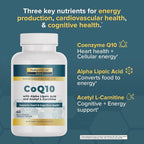 Nature's Lab CoQ10 200mg with Alpha Lipoic Acid & L-Carnitine - High Absorption Heart & Brain Support - Energy & Mitochondrial Function - 60 Capsules Gold