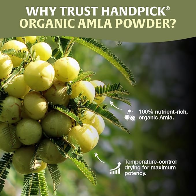 HANDPICK Organic Amla Powder (14oz) Amalaki, USDA Organic, Non-GMO | 100% Raw and Natural - Lab Tested for Purity | Indian Gooseberry Powder | Resealable Zip Lock Pouch