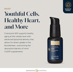 Quicksilver Scientific CoQ10 Nanoemulsion - Liposomal Coenzyme Q10 Cardiovascular Support & Cellular Energy Supplement - Fast Absorbing Liquid (1.7oz / 50ml)