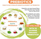 Vital Planet - Vital Flora Advanced Probiotic 100 Billion CFU, 100 Diverse Strains, 10 Organic Prebiotics, Immune Support, Digestive Health Shelf Stable Probiotics for Women and Men 30 Capsules