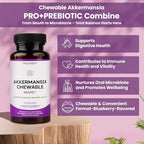 Chewable Akkermansia Probiotic and Prebiotic Supplement NOVO 2.0 with HMO, Supports Gut and Oral Microbiome, Supplements for Digestive Health and Skin Vitality, Targeted Delivery, 30 Tablets