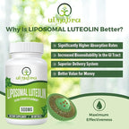 Liposomal Luteolin 500MG, Maximum Absorption, Potent Flavonoid, 60 Softgels, Luteolin Supplement, Non-GMO, Gluten Free