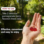 Beetroot Gummies, Organic Beet Root Chews Gummies for Natural Energy Support, Beetroot Supplement for Men and Women, 90 Count (1)
