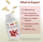 ANDREW LESSMAN Vitamin B12 500 360 Capsules - Absorption-Protected Methylcobalamin (Natural Coenzyme Vitamin B12), Essential for Energy and Stress Support, Plus B-Complex, Easy to Swallow Capsules