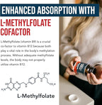 BioActive Vitamin B12 - 5000 mcg, Contains 3 BioActive Forms B12 Plus Methylfolate Cofactor - Methyl B12, Adenosyl B12 & Hydroxy B12 | Supports Energy, Metabolism & Mood | Vegan, Non-GMO (60 Servings)