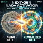 IHW NMNH, 1000mg NMN Supplement Alternative per Serving, 120 Capsules Ultra High 99.9% Purity, Supports Cellular Vitality & Stamina, Aging, Energy Focus, Non-GMO, Gluten Free