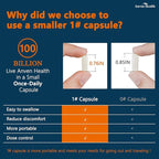 Probiotics & Spermidine Supplement - 100B CFU, 27 Strains, 20mg Spermidine, 300mg Fisetin for Gut Health, Cell Renewal & Longevity