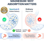 Spectrum 5 Magnesium | 5-in-1 Complex + 72 Trace Minerals for Enhanced Absorption | Irish Sea Sourced | 500mg per Serving | Made in USA, Third Party Tested, GMP Certified